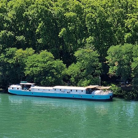 Peniche Althea Bed & Breakfast Avignon Ngoại thất bức ảnh