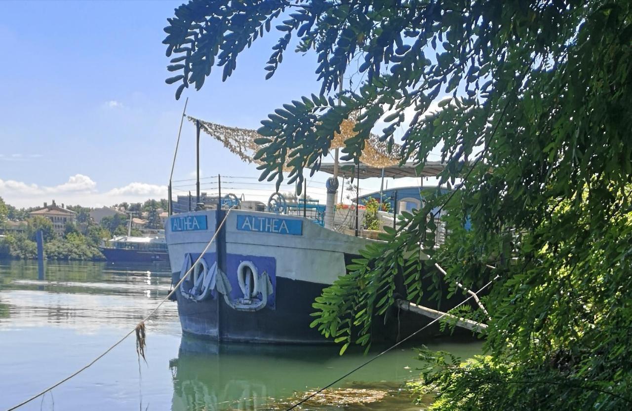 Peniche Althea Bed & Breakfast Avignon Ngoại thất bức ảnh